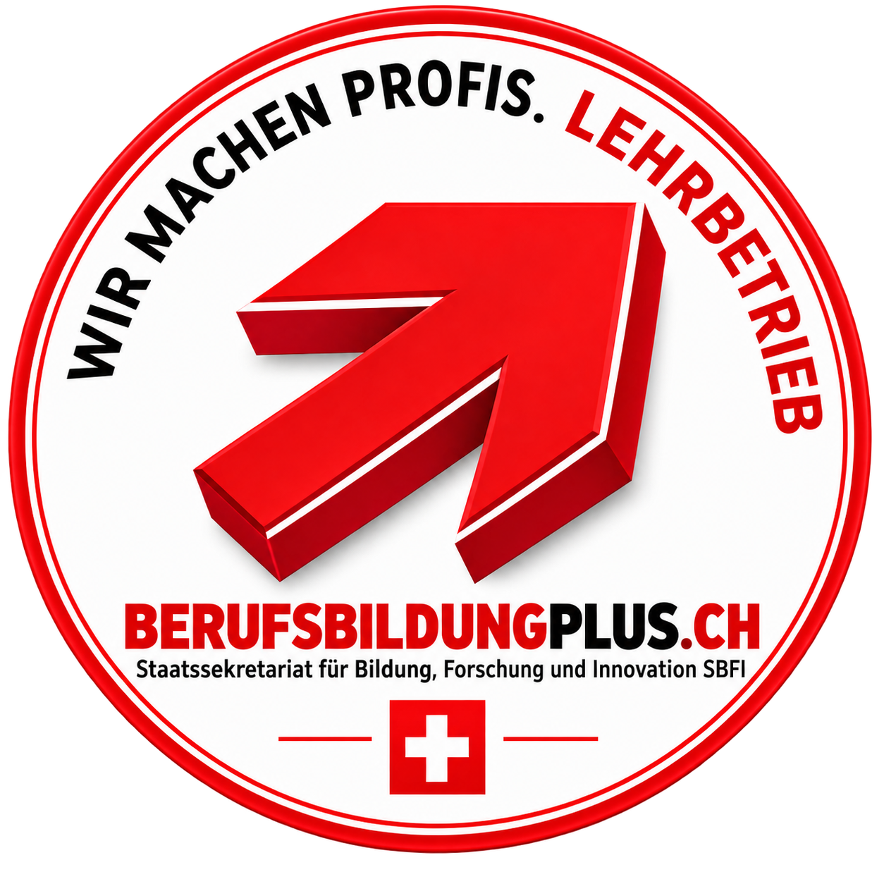 Logo Berufsbildungplus